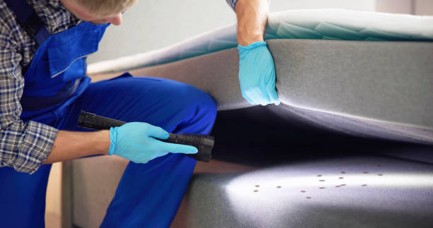 Best Pest Control for Businesses  in Ames, TX