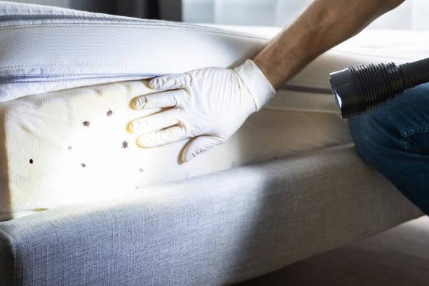 Best Residential Pest Control  in Ames, TX