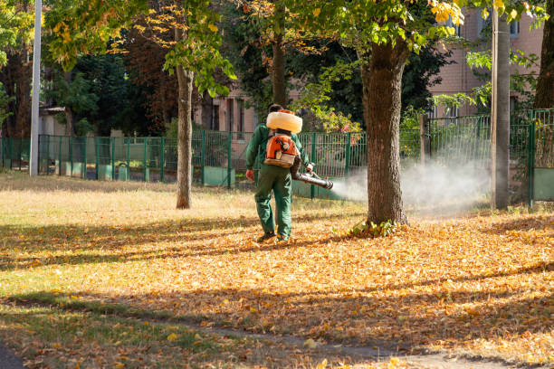 Best Affordable Pest Control Services  in Ames, TX