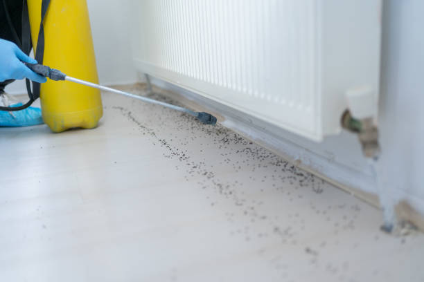 Trusted Ames, TX Pest Control Experts