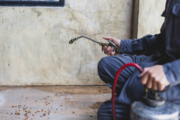 Best Wasp Removal Services  in Ames, TX